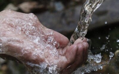 A víz kincs, érték, egészség – A víz világnapján fókuszban a családi vízháztartás
